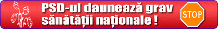 Politicienii romani
